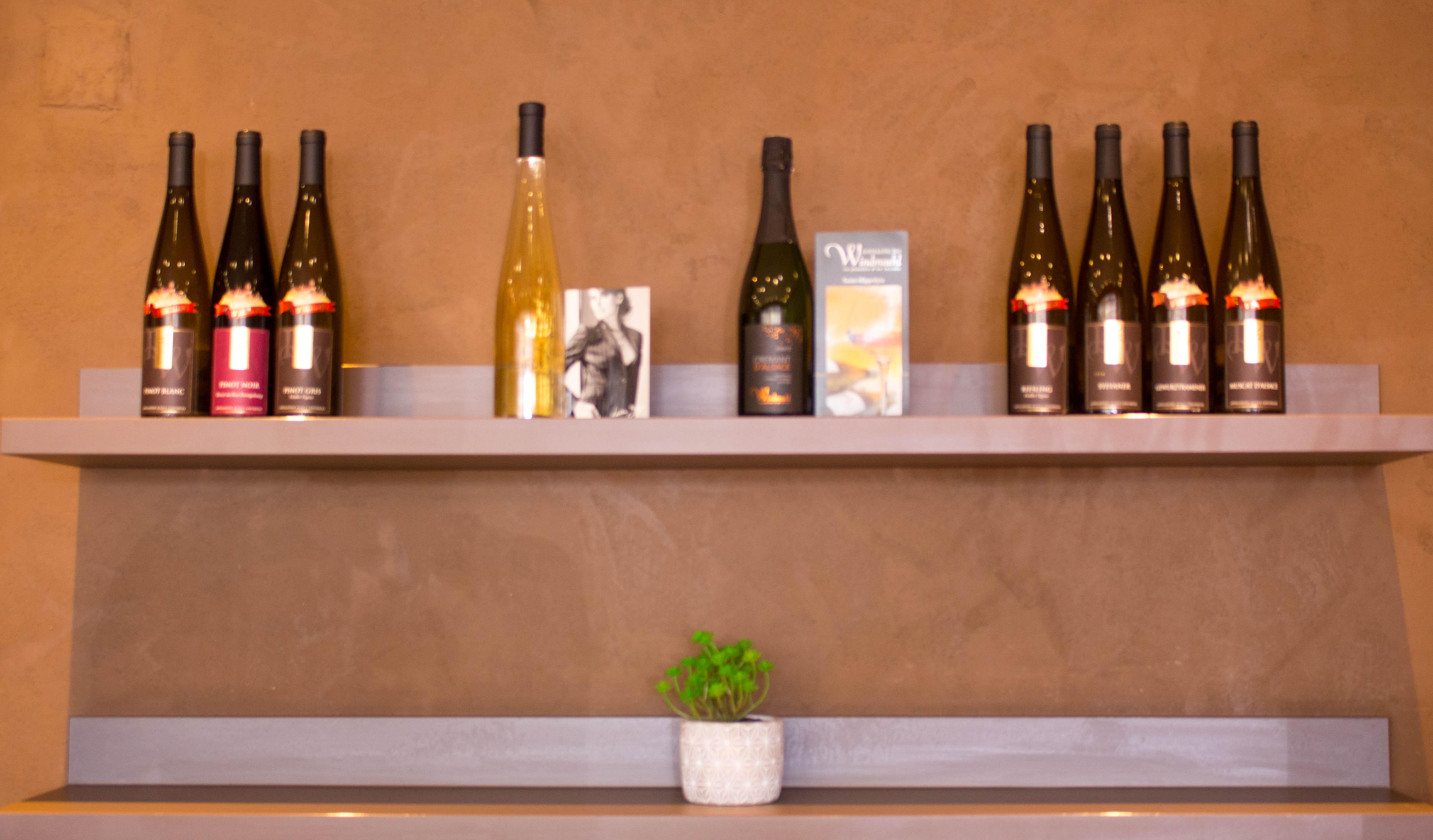 Ibis Colmar Est - Hotel Restaurant En Alsace Horbourg-Wihr Экстерьер фото