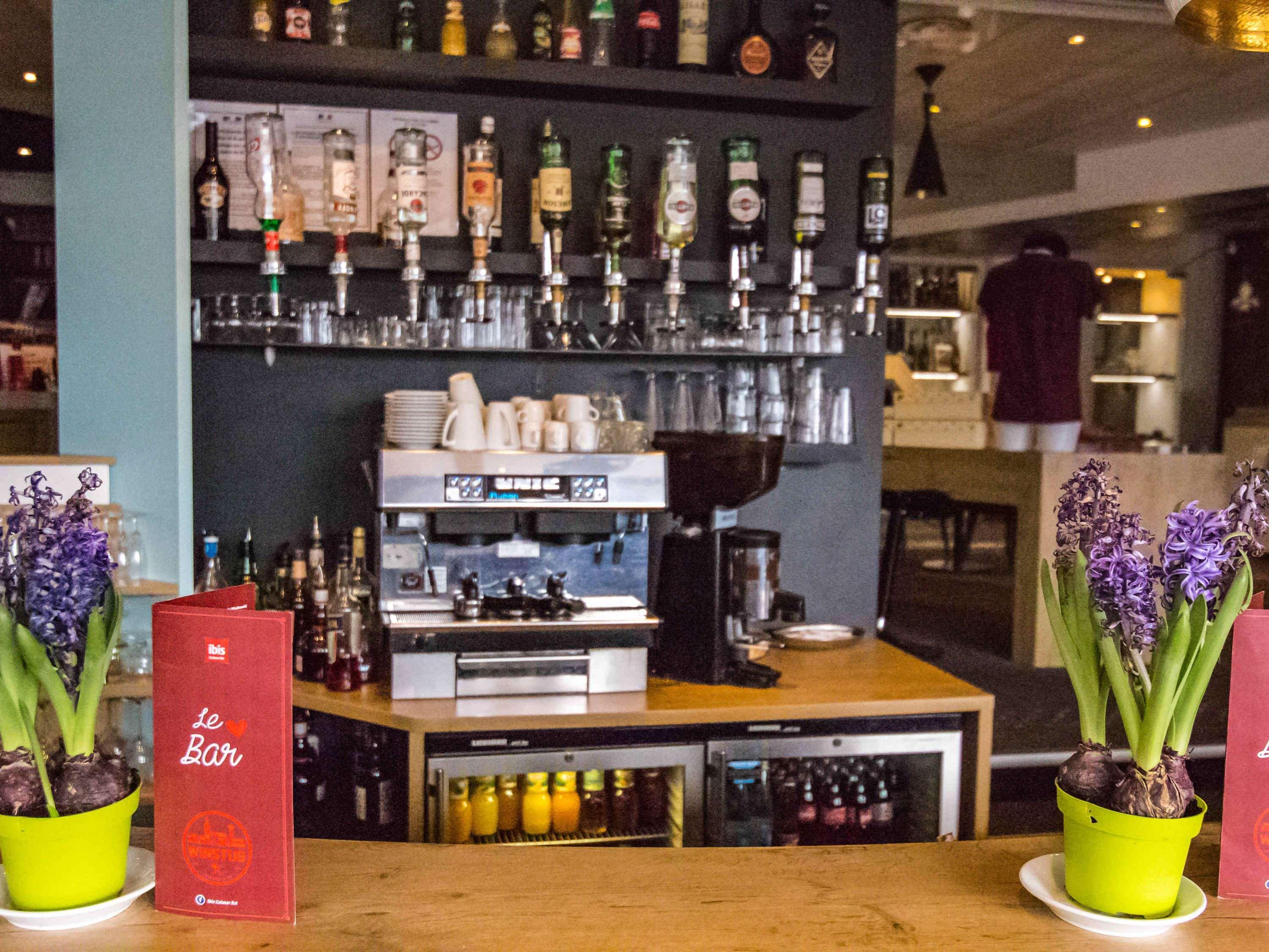 Ibis Colmar Est - Hotel Restaurant En Alsace Horbourg-Wihr Экстерьер фото
